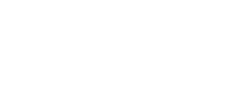 Reich Global IT